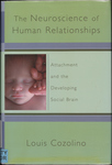 The Neuroscience of Human Relationships: Attachment and the Developing Social Brain by Louis J. Cozolino